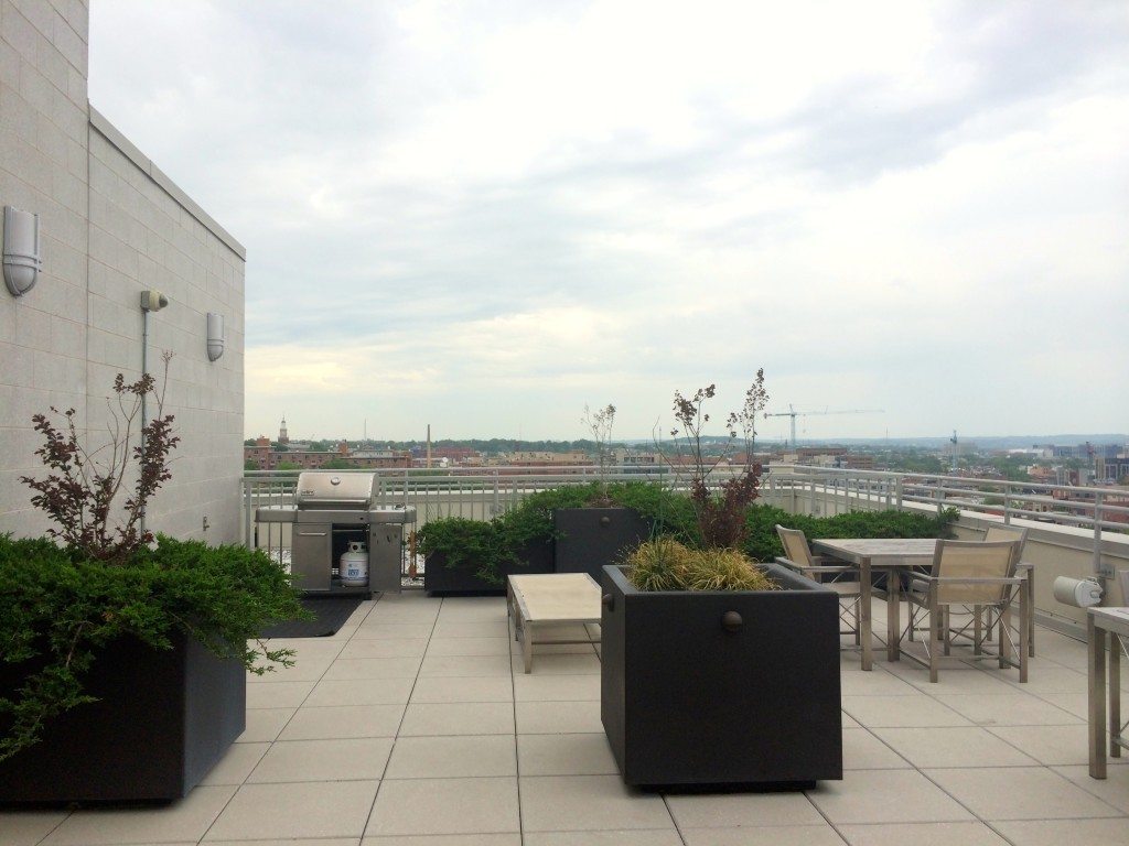 Best Apartment Rooftops in DC
