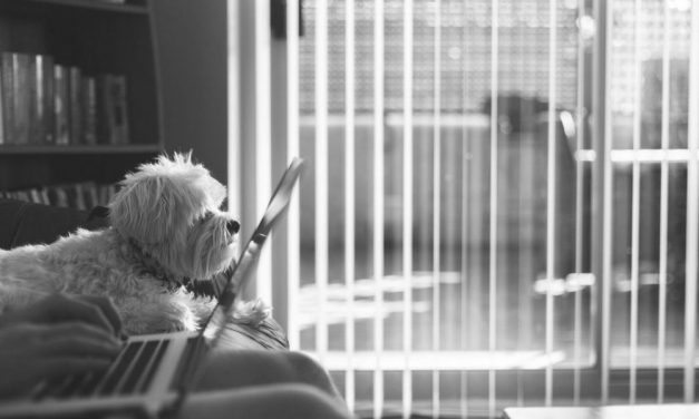 The Emotional Journey of Apartment Hunting