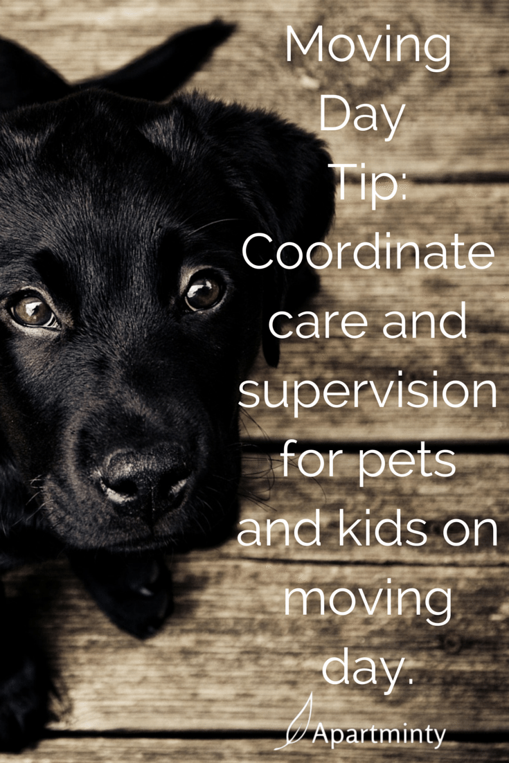 tips for pets and kids on moving day