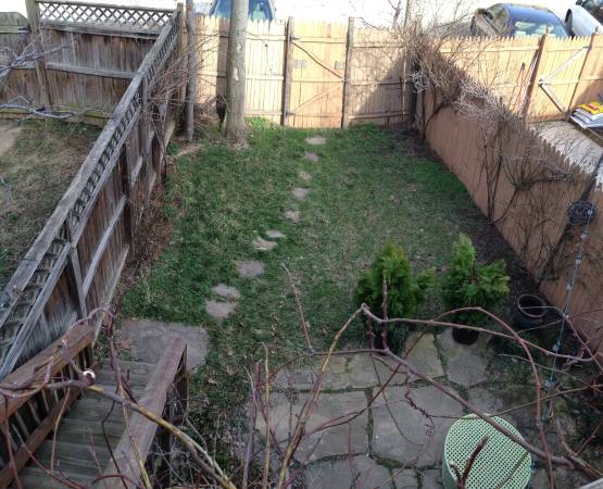Two Level Two Bedroom Apartment in Eastern Market | Private fenced backyard with stone patio 