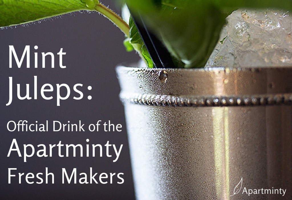 Mint Julep: The Official Drink of the Apartminty Fresh Makers...and the Kentucky Derby!