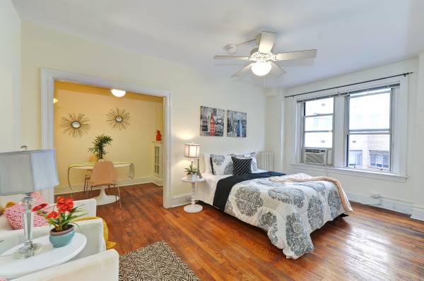 Sophisticated Studio in Kalorama | Living and Sleeping Area | Apartment for Rent in Washington DC