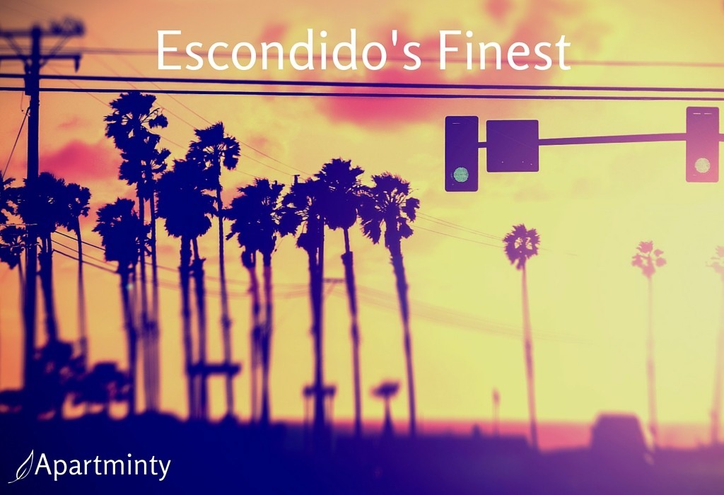 Escondido's Finest: California Sunset