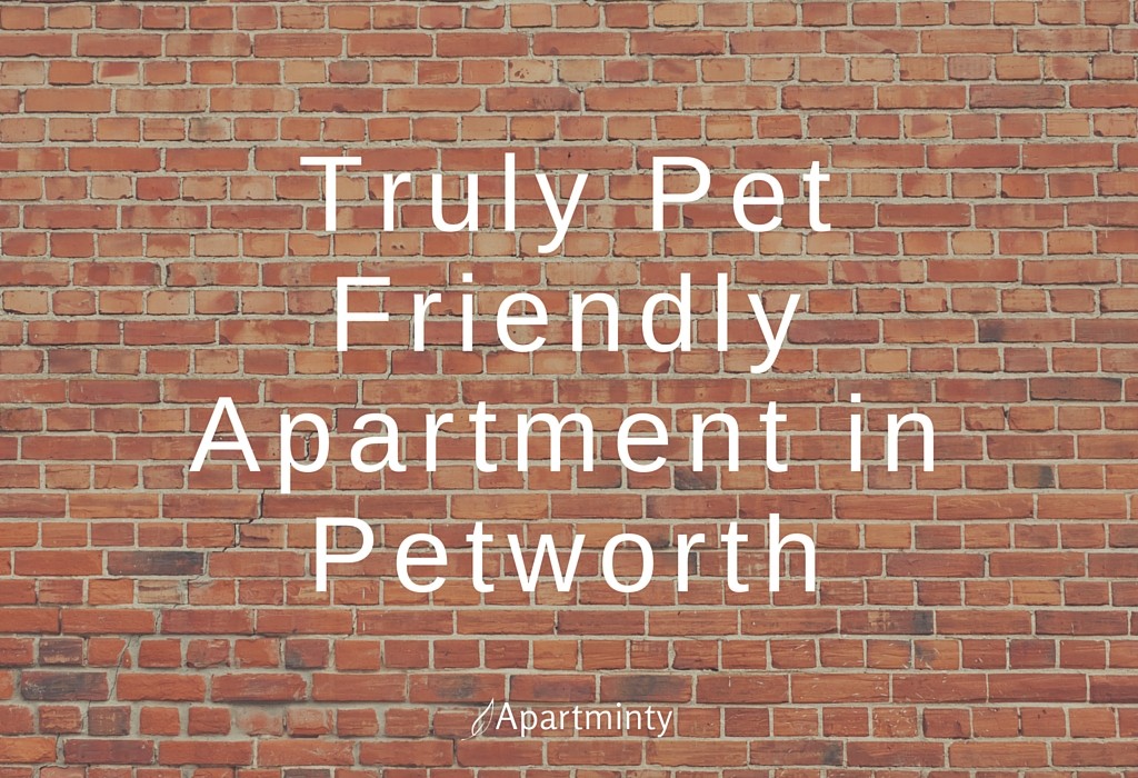 Truly Pet Friendly Apartment in Petworth