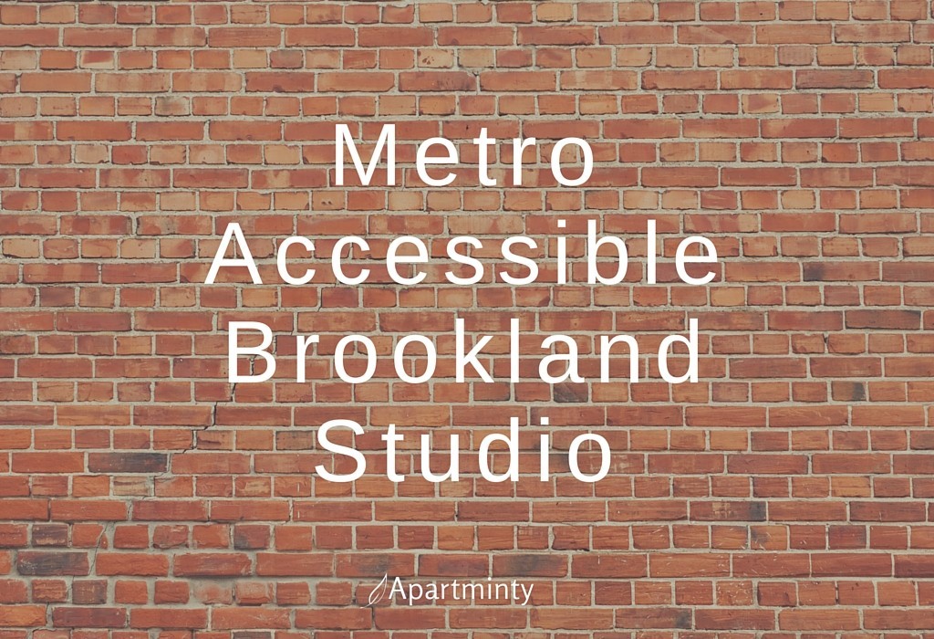 Metro Accessible Brookland Studio For Rent in DC
