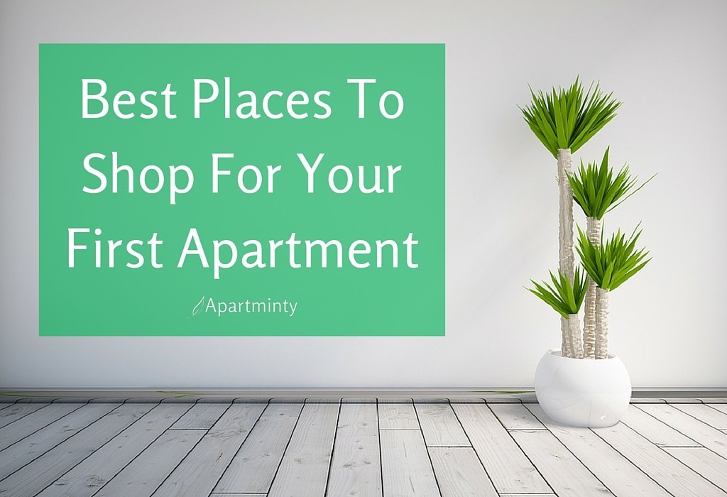 Best Places To Shop For Your First Apartment