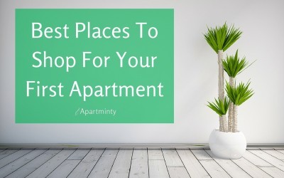 Best Places To Shop For Your First Apartment