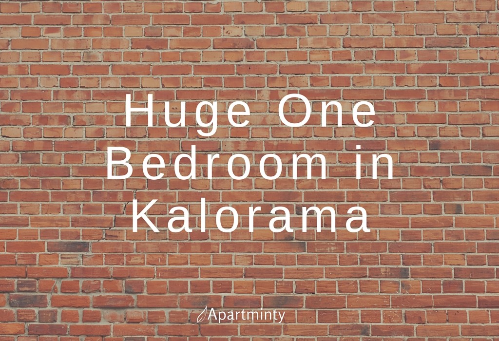 Huge One Bedroom in Kalorama