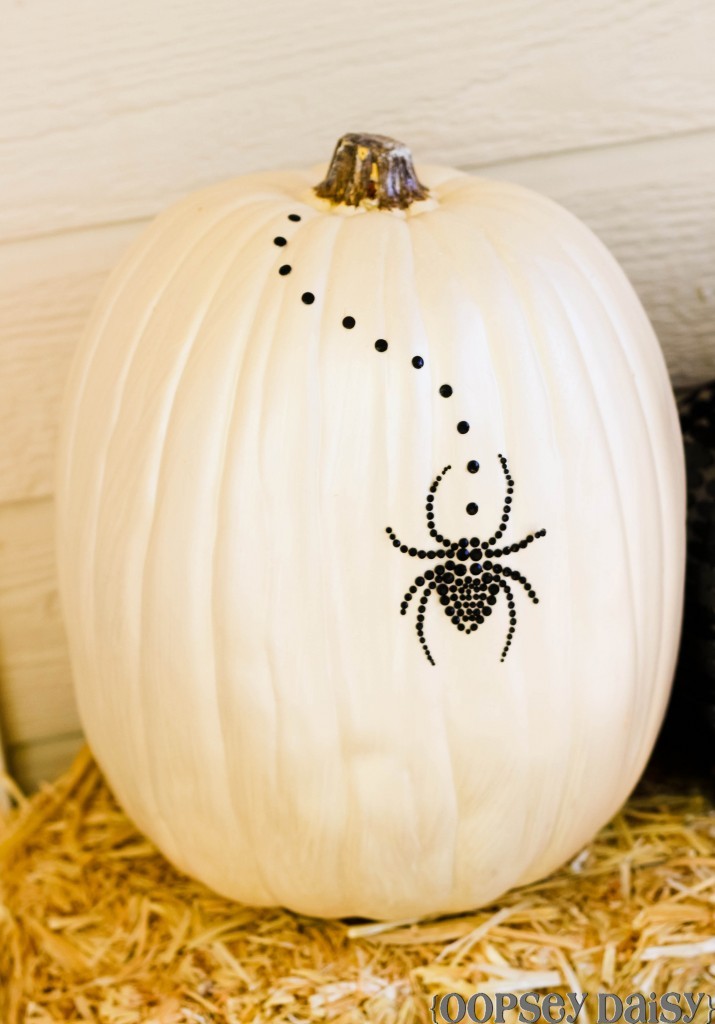 Spider Pumpkin | From Oopsey Daisy