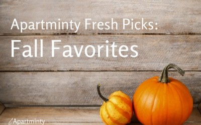 Apartminty Fresh Picks: Fall Favorites