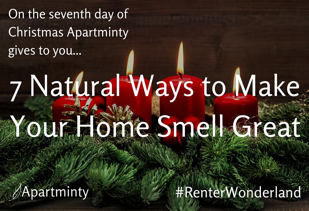Renter Wonderland | 7 Natural Ways To Make Your Apartment Smell Great