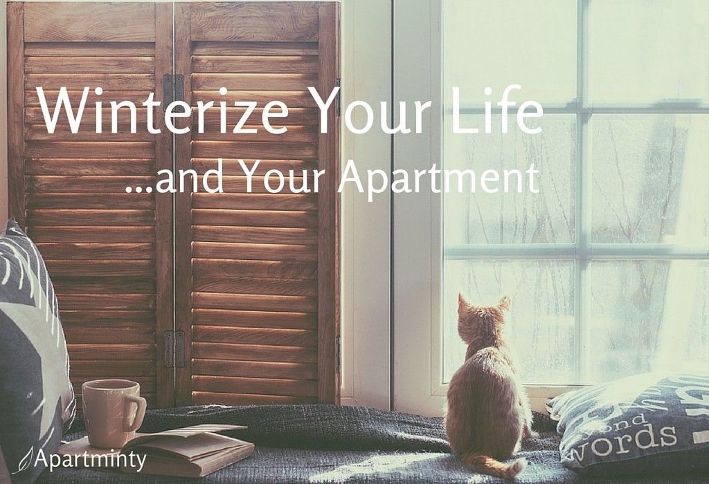 Winterize Your Life…and Your Apartment