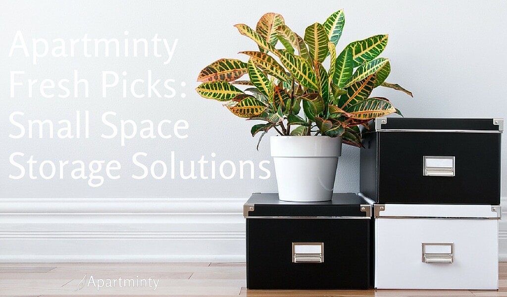 Apartminty Fresh Picks | Small Space Storage Solutions For Your Apartment