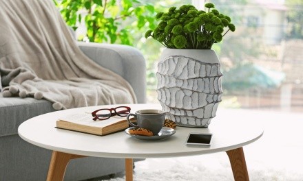 Apartminty Fresh Picks: Coffee Table Books