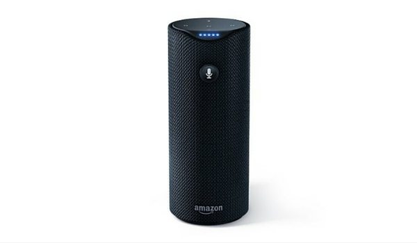 Apartminty Fresh Picks: Picnic Accessories | Amazon Tap Portable Bluetooth Enabled Speaker
