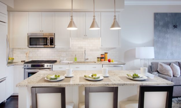 The 5 Best Apartment Kitchens in DC