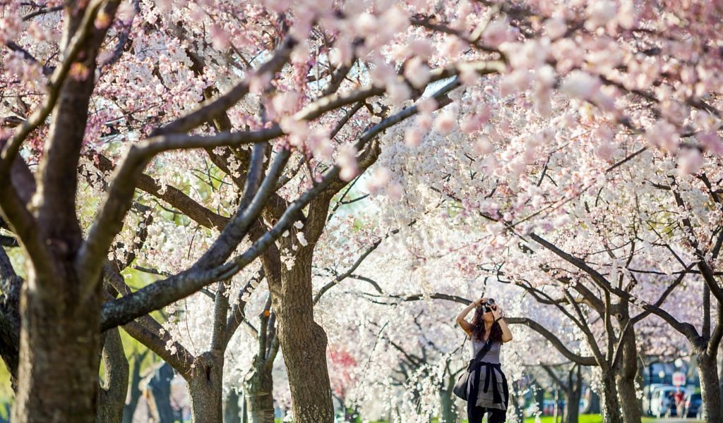 The Instagrammers Guide to Washington, DC