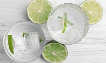 Apartminty Fresh Picks: The Coolest Ice Cubes Your Cocktail Has Ever Seen