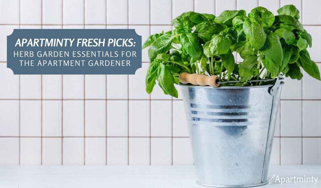 Apartminty Fresh Picks: Herb Garden Essentials For The Apartment Gardener