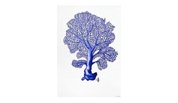 Apartminty Fresh Picks: Art For Your Gallery Wall | Sea Life in Pen 4 by Millie Brooks