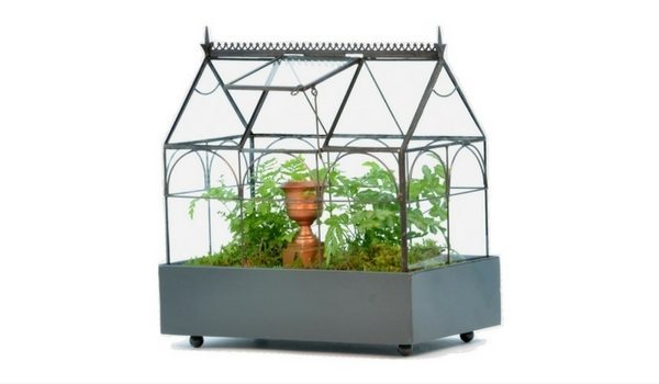 Apartminty Fresh Picks: Herb Garden Essentials For The Apartment Gardener | Plant Terrarium