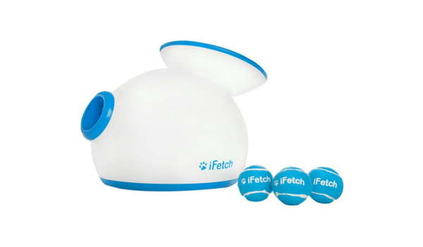 Apartminty Fresh Picks: Pet Products | iFetch Interactive Ball Thrower
