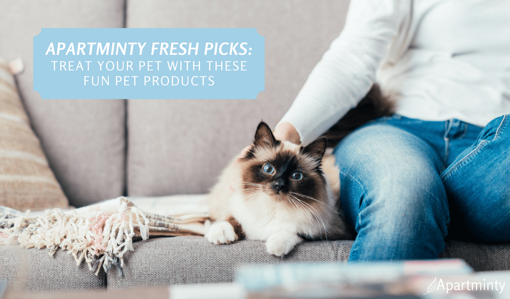 Apartminty Fresh Picks: treat Your Furry Friend With These Fun Pet Products