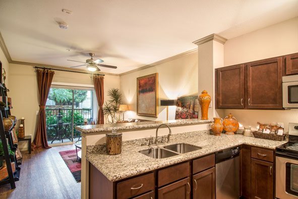 3-camden-midtown-houston-texas-apartments-one-and-two-bedroom-stainless-steel-appliances-granite-countertops