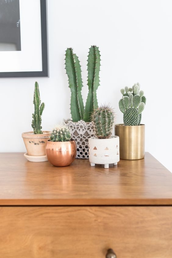 New Year, Same Apartment: Refresh Your Apartment For The New Year |Decorating With Indoor Plants