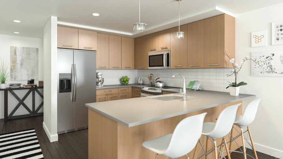 f1rst-residences-capitol-riverfront-washington-dc-apartments-kitchen