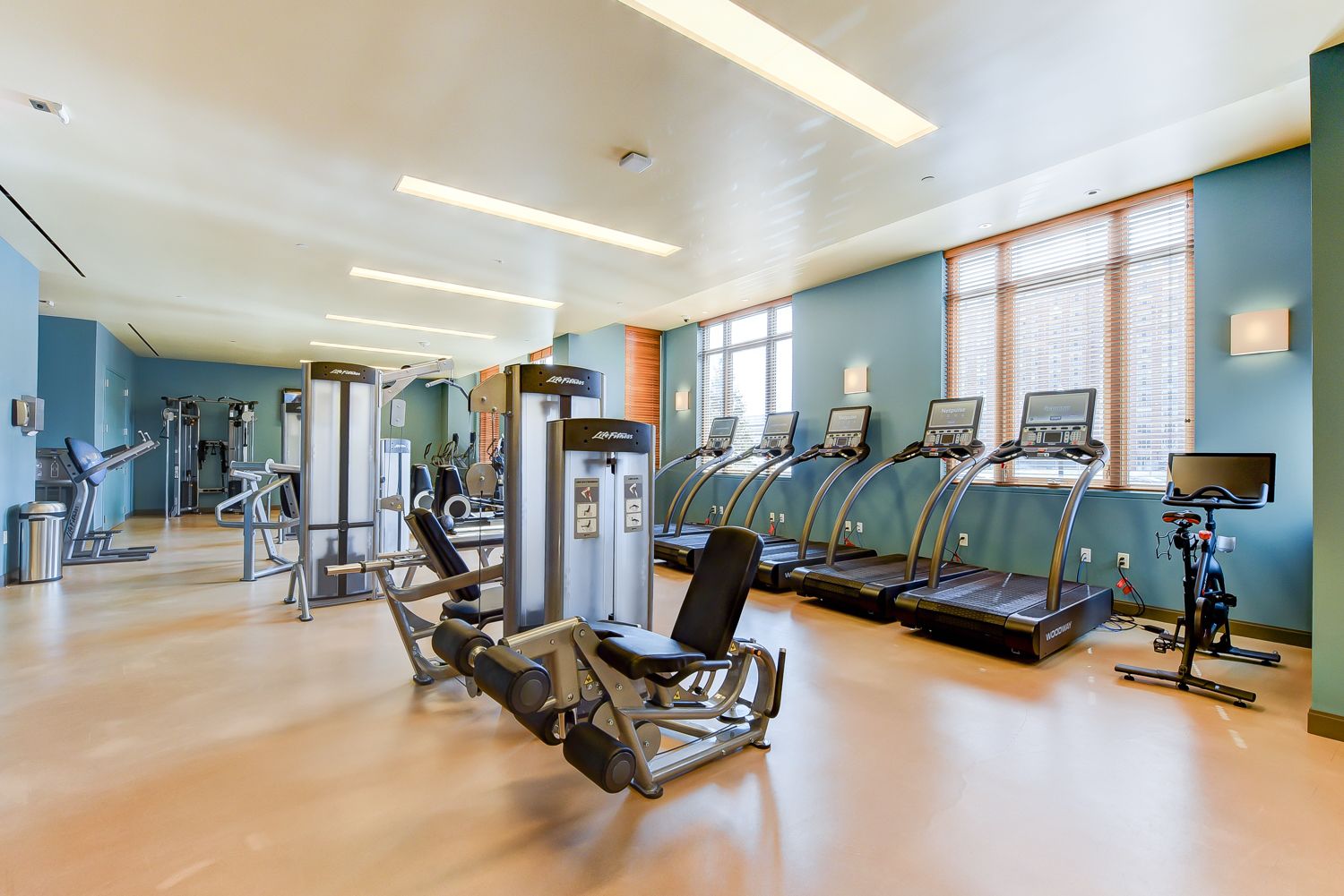 New-Park-Chelsea-fitness-center-woodway-treadmills