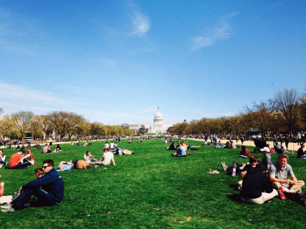 Picnic Spots In DC | National Mall