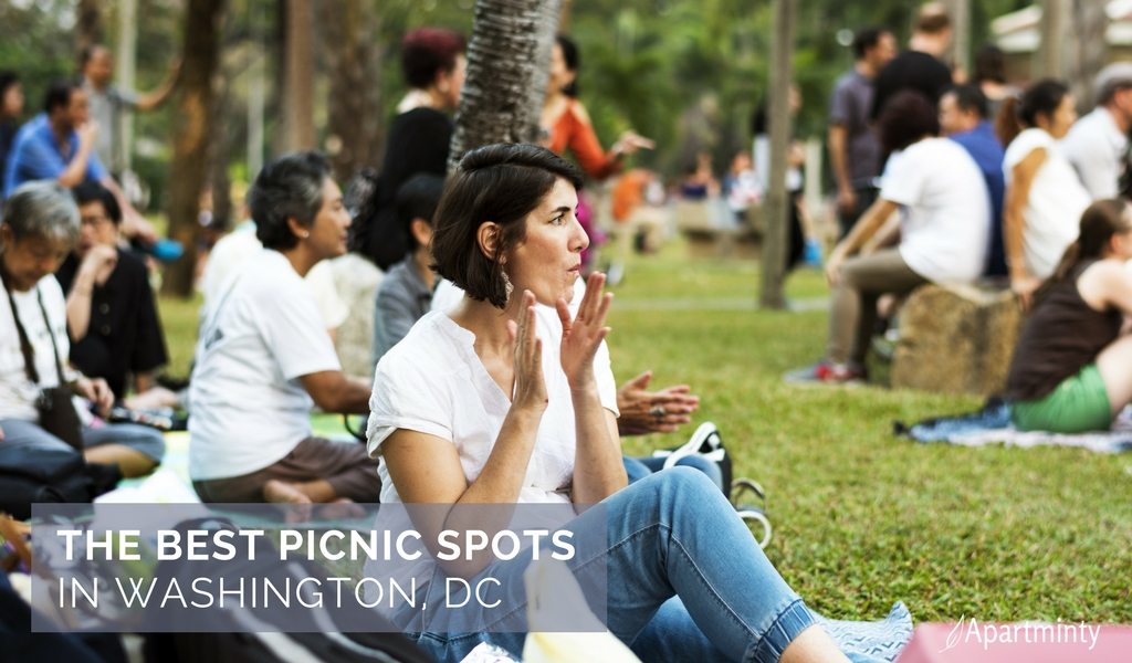 Best Picnic Spots In DC