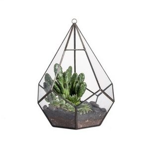 Mother's Day Gift Ideas | Teardrop Glass Plant Terrarium
