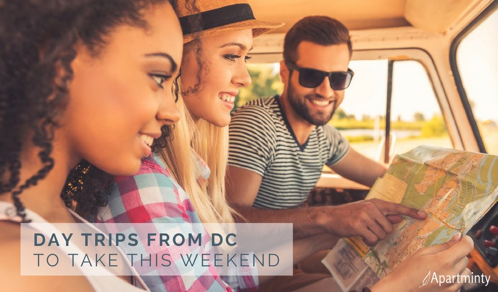 DC Day Trips To Take This Weekend | Day Trips From DC