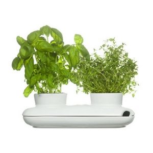 Summer Bar Cart Items | Self-Watering Herb Planter