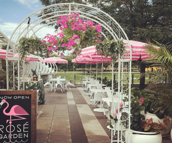 National Rosé Day | Whaley's Rosé Garden In Washington, DC