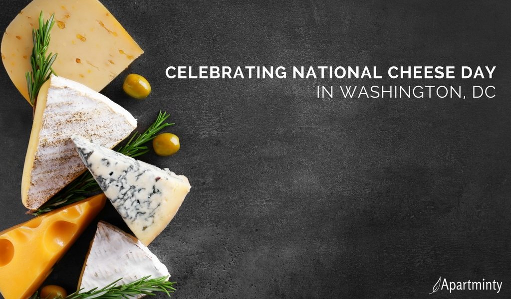 National Cheese Day | Where To Celebrate In Washington, DC