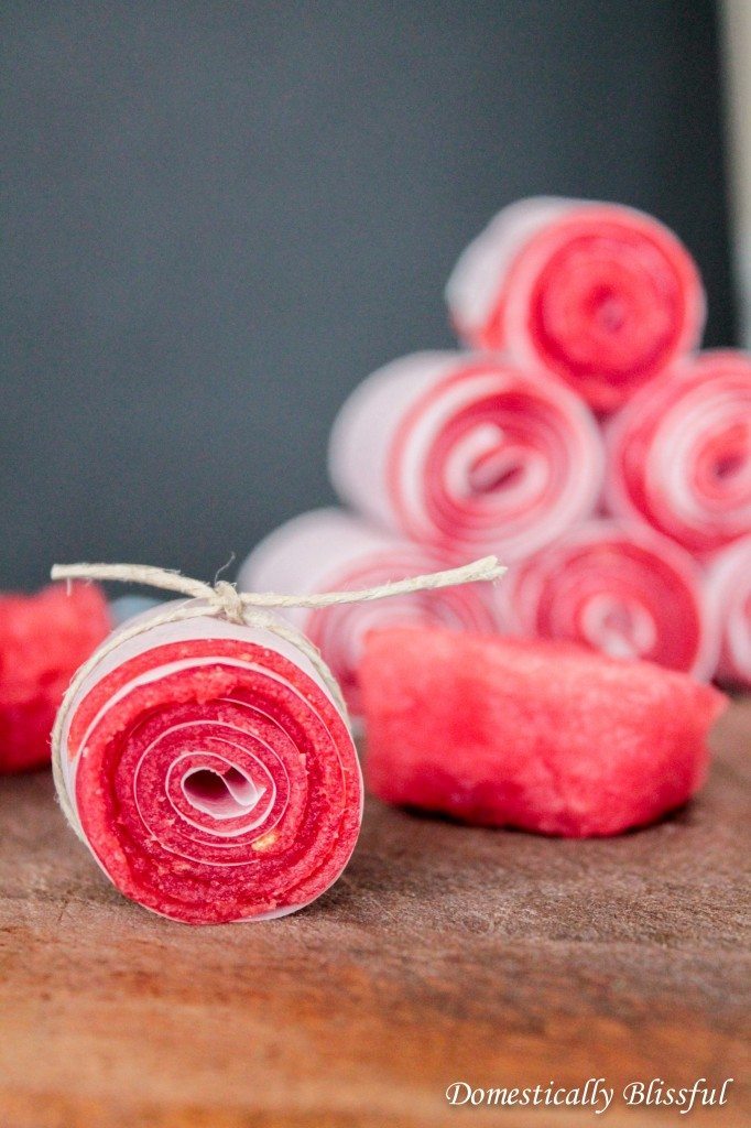 Watermelon Recipes for National Watermelon Day | Watermelon Fruit Leather