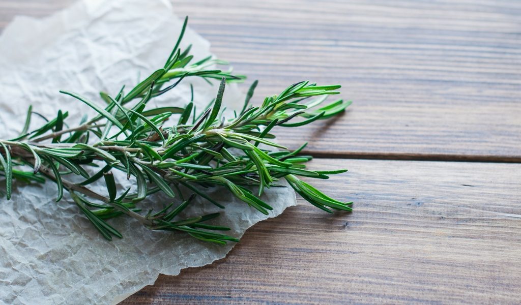 Summer Recipes With Fresh Herbs