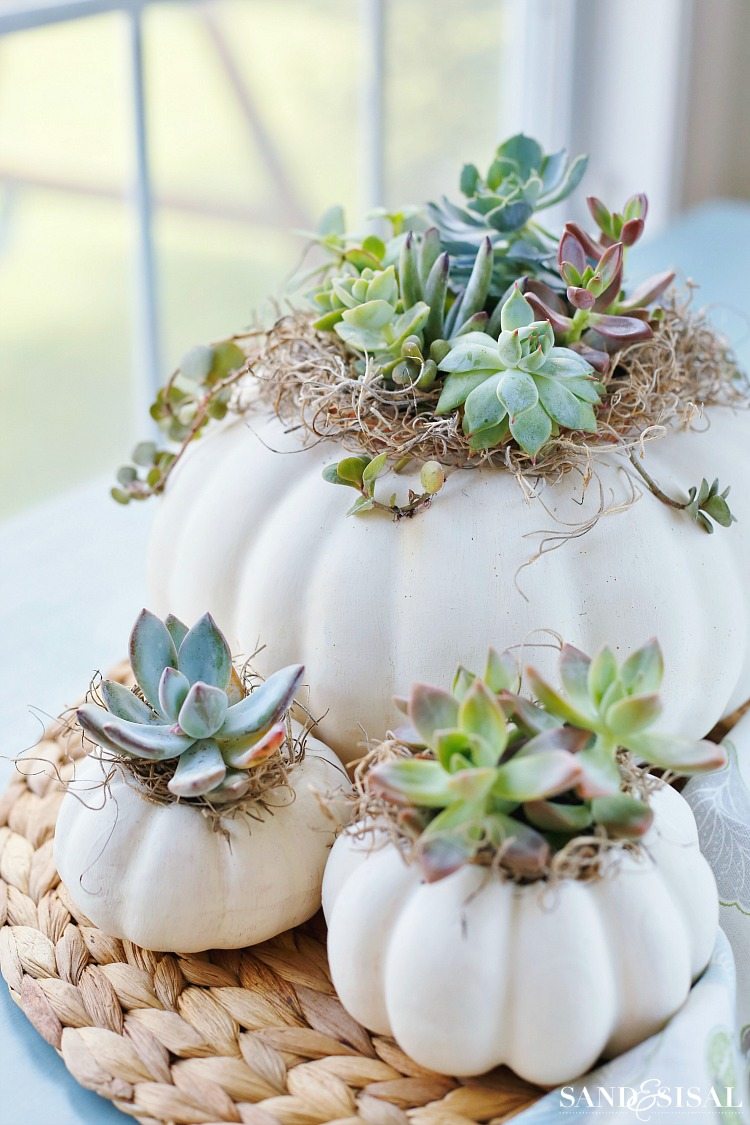 Succulent Pumpkin Planters | Decorating With Pumpkins