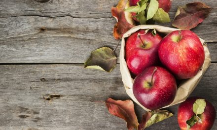 The Best Apple Recipes For Using Up Your Orchard Haul