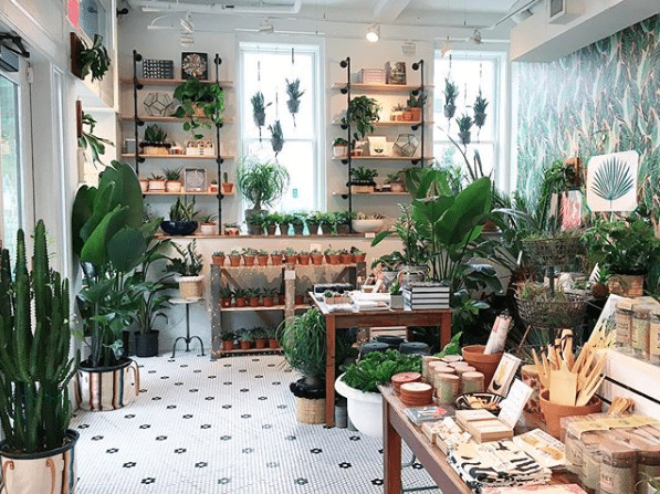 Little Leaf Shop | Holiday Gifts In DC