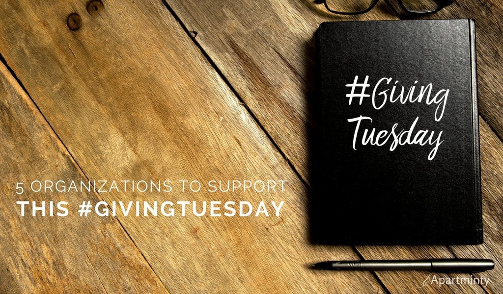 Giving Tuesday | Organizations To Support
