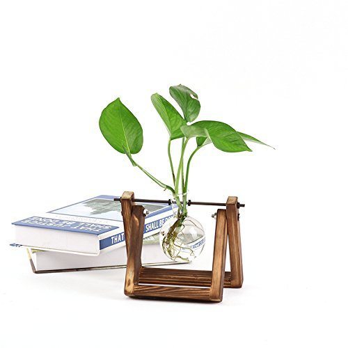 Desk Accessories | Desktop Glass Bulb Hydroponic Planter