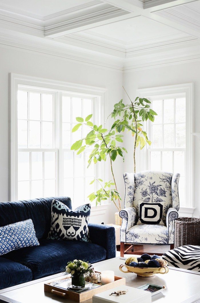 Winter Blues Decor | Design Inspiration | Blue Velvet Couch 