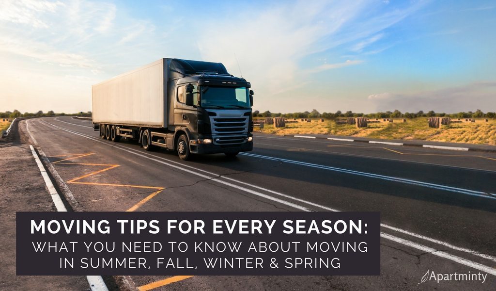 Moving Tips For Every Season: What You Need to Know About Moving in Summer, Fall, Winter & Spring