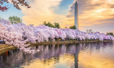 5 Can’t Miss DC March Events