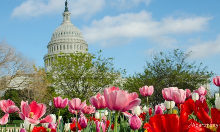 Can’t Miss May Events in DC