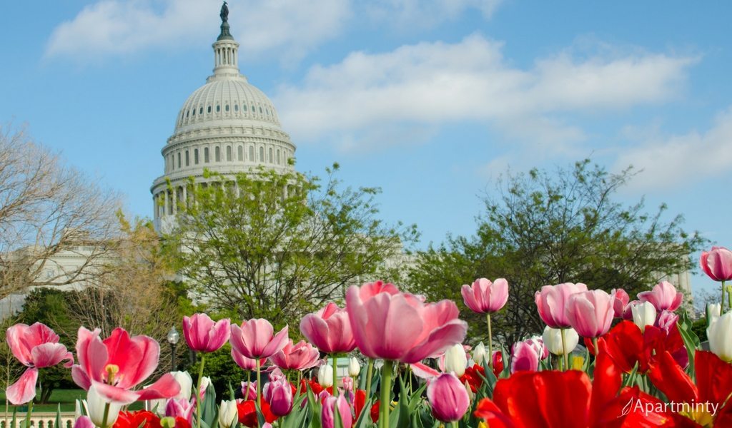 Can’t Miss May Events in DC